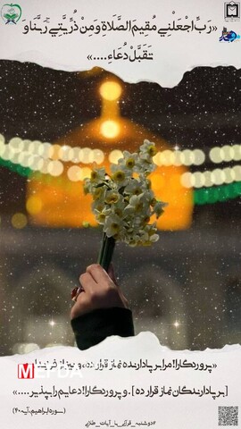 مفدا تربت جام